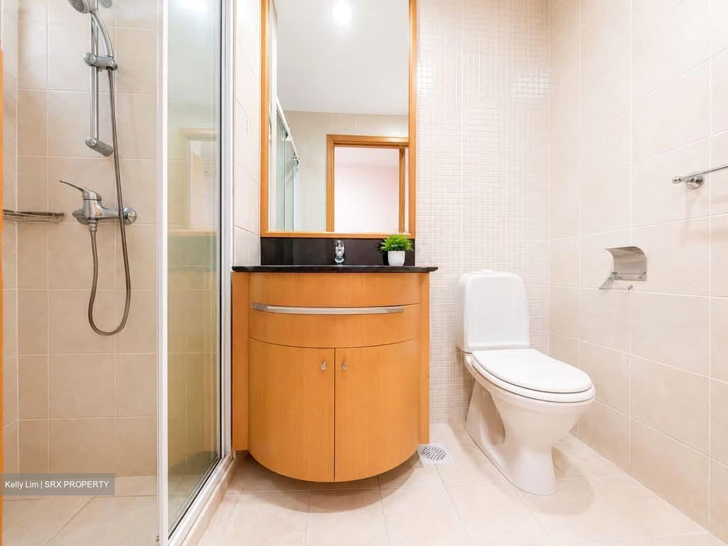 Summerhill (D21), Condominium #587506781